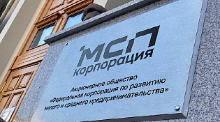 Данные о мерах поддержки МСП стали доступны в личных кабинетах налогоплательщиков